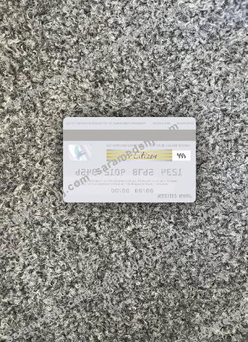 Thailand Bangkok Bank visa debit card gray photolook back